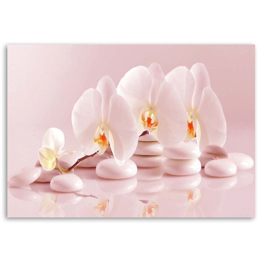 Leinwandbild Zen orchids in powder pink