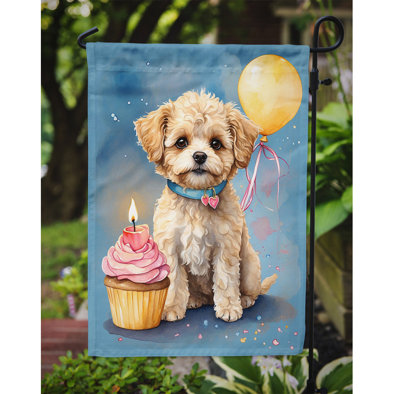 Drapeau de jardin «Happy Birthday», Maltipoo