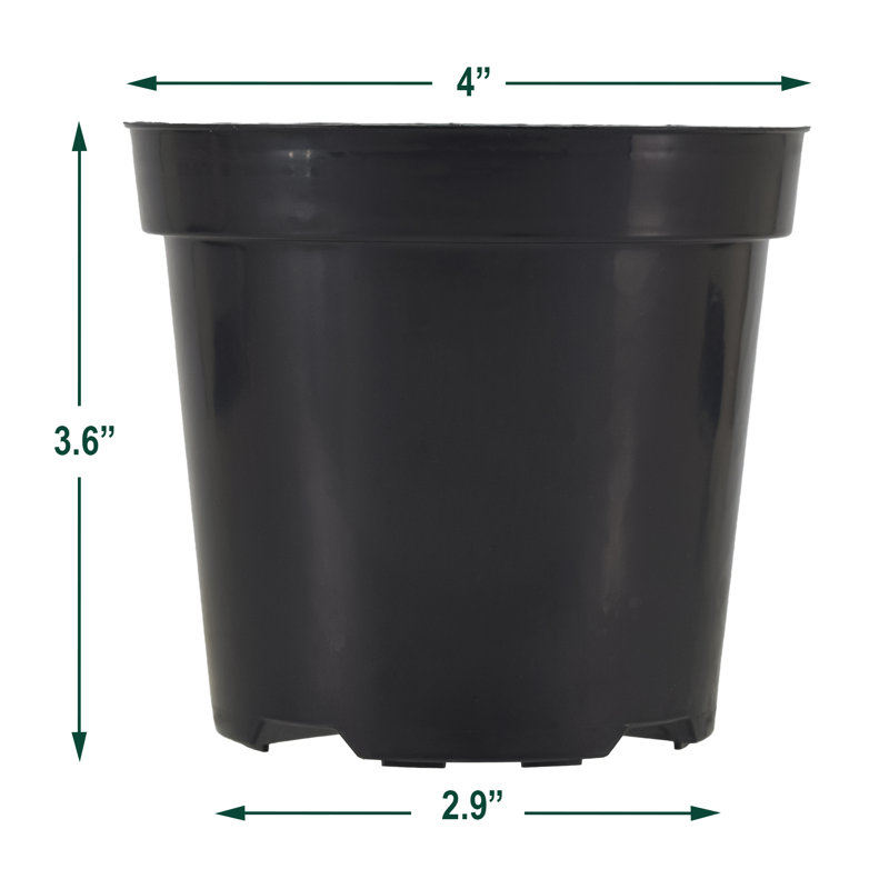 Kounain Nursery Pot, 250, 3.5" H x 4" W x 4" D