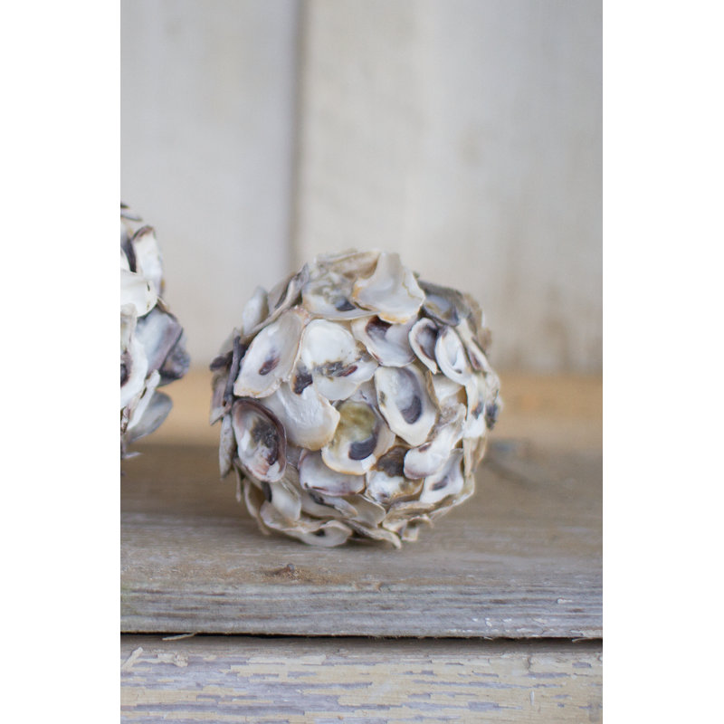  Boule de texture décorative Coastal Oyster