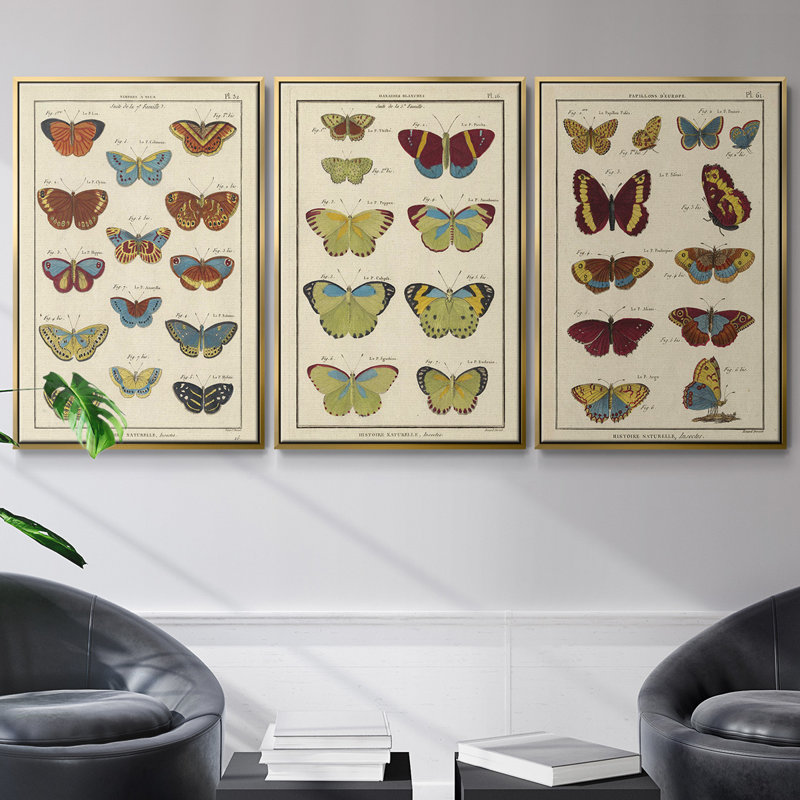 Histoire Naturelle Papillons I, ensemble de 3 toiles encadrées, Or, H 40 po x l 78 po