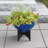 Norma I Metal Pot Planter-61508525-61508526