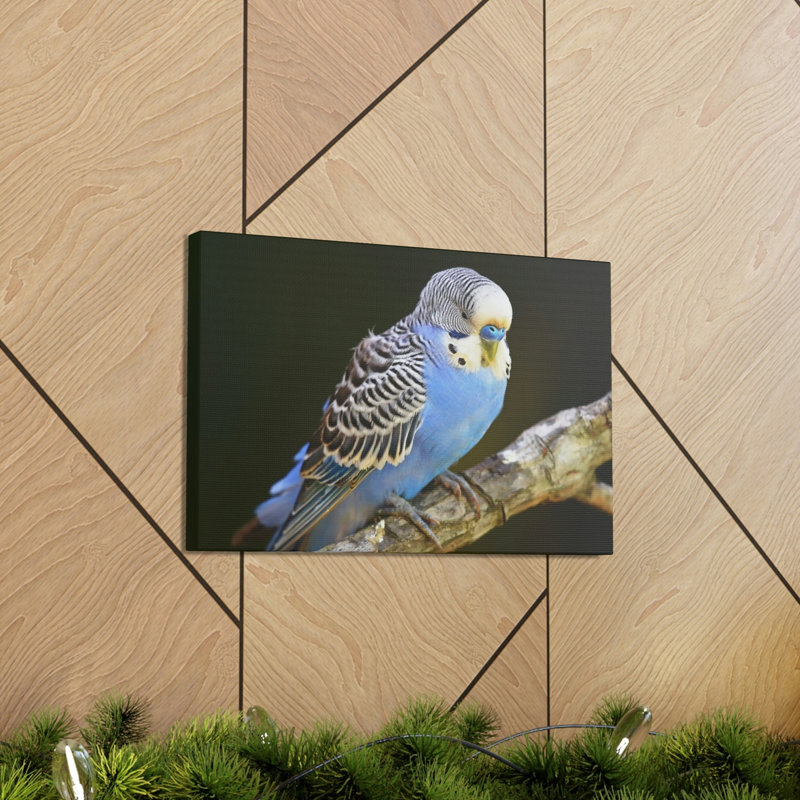 Art mural majestueux Budgie, H 12 po x l 18 po