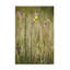 Art sur toile Kent Burkhardsmeier-1609890164