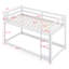 Floor Bunk Bed With Ladder-160469321