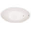 Carli 60'' L Soaking Bathtub-9227753-88749882