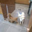 Clear Freestanding Pet Gate with Door 36"w x 30"h-749663428