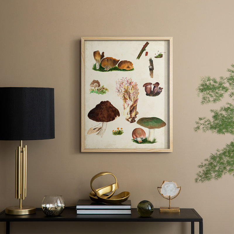 Mushroom Species IX Framed Print - Solid Wood