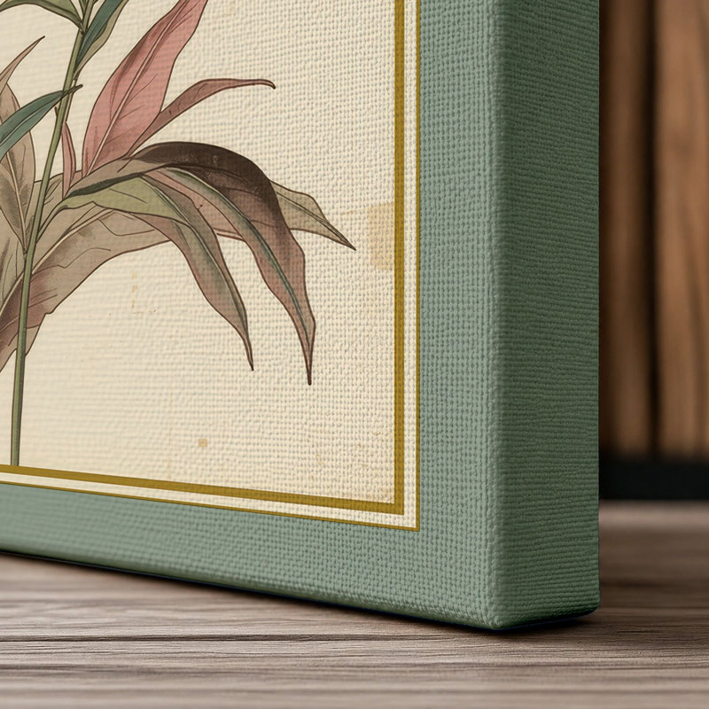 Carnation Study Botanical - Wrapped Canvas, 36x24 - 91.4 x 61.0 cm, Sage Border