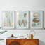 Sépia et coquillages aqua VI - reproduction encadrée sur mesure de qualité supérieure mate - 3 pièces-1020866994-1020866999