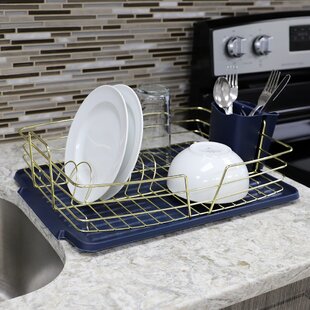 https://assets.wfcdn.com/im/93185115/resize-h310-w310%5Ecompr-r85/1412/141229513/Michael+Graves+Design+Deluxe+Dish+Rack+With+Black+Finish+Wire+And+Removable+Dual+Compartment+Utensil+Holder%252C+Black.jpg