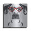 «Dalmatian Porter des lunettes Hipster» par les affiliés Furbaby-27887761