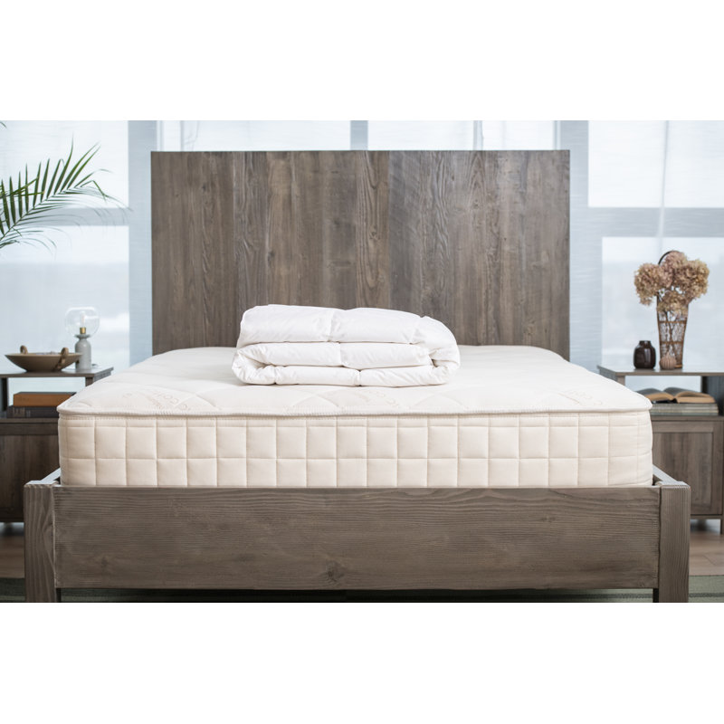 Édredon en duvet de coton et coton biologique, Simple / simple TG, Toutes saisons