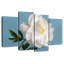 Fleur de pivoine blanche Harnek-108905254