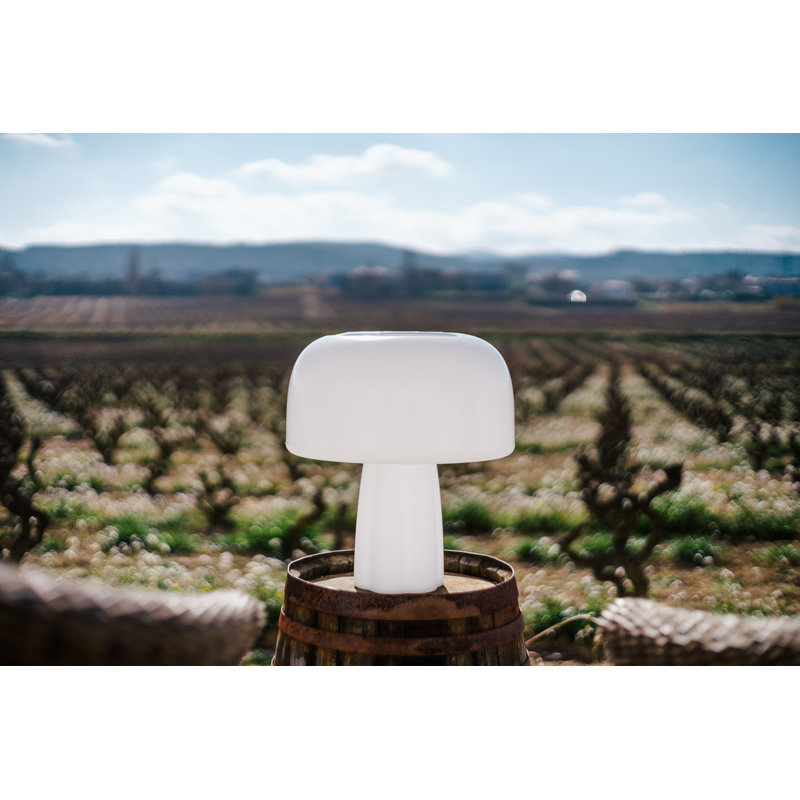 The Boleti Lamp