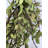 24" Handmade Spring Tea Leaf Front Door Wreath