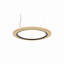 Roda 1 - Light LED Pendant-1528191845