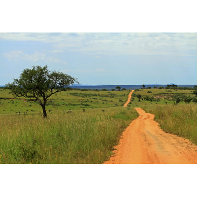 Road Through Ugandan Park - Wrapped Canvas Print
