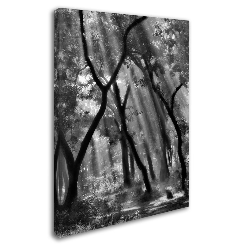 Enchanted Forest Black and White Canvas Art with Wooden Frame