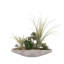 Faux Succulent Plant in Cement Pot