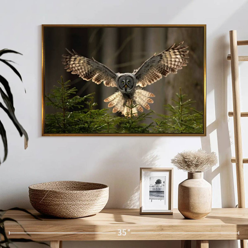 Hibou volant, Cadre flottant doré, 25 po x 17 po