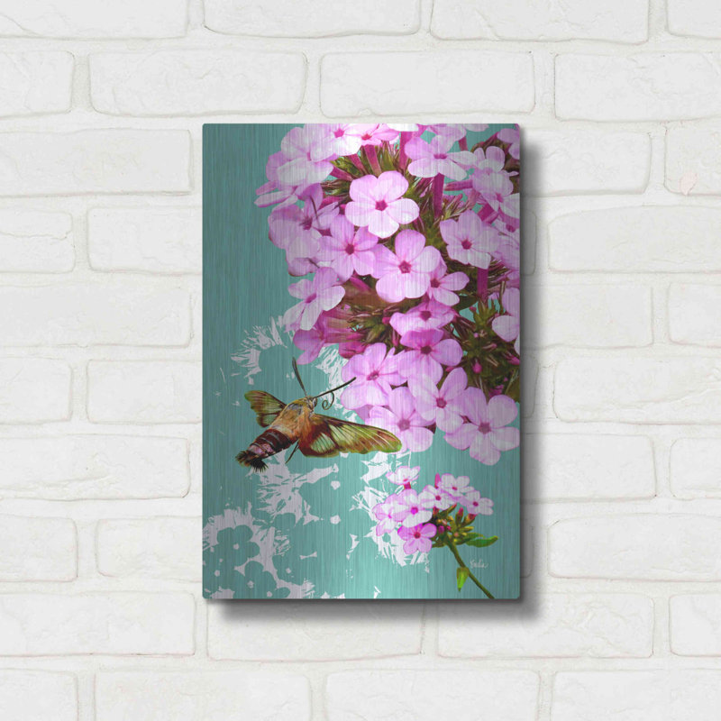 «Clearwing On Flox» par Evelia Designs, H 16 po x l 12 po