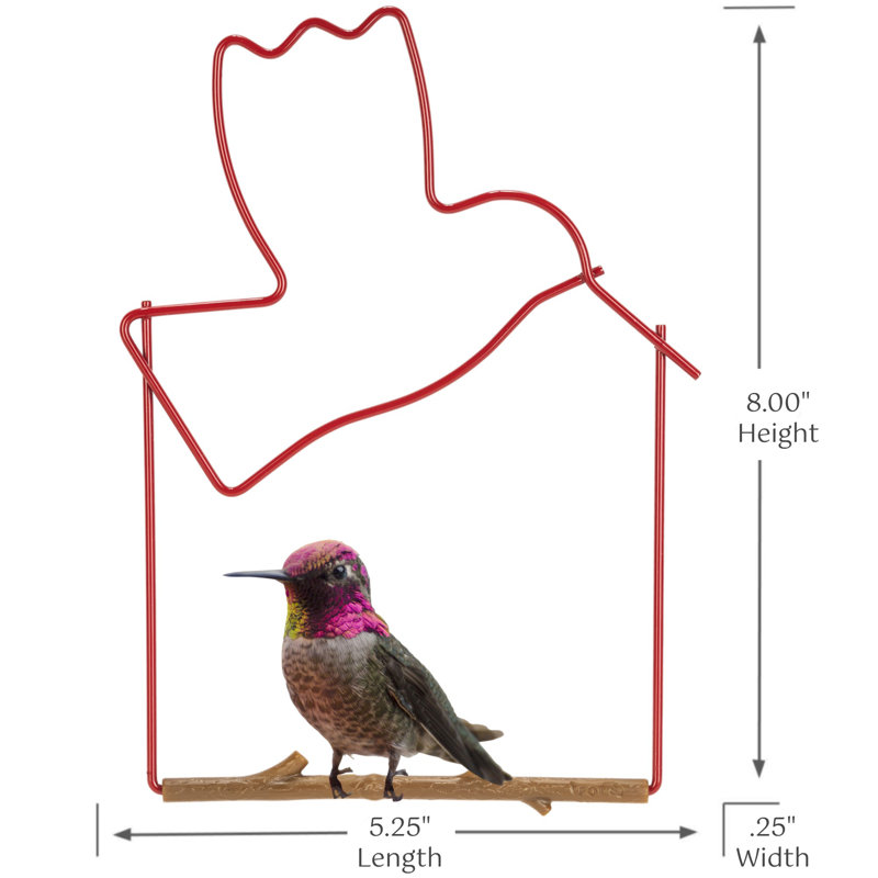  Balançoire artisanale colibri, oiseau rouge