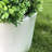 Gethsemane Handmade Pot Planter-1653050987-1652394243