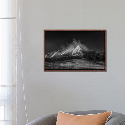 Frozen Whimsey, B&W 1 Piece Wall Art on Canvas