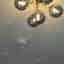 Photos des clients 2 de 2