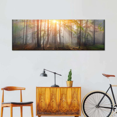 Sunset Carpathian Forest Canvas Print