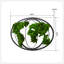 Décoration murale carte du monde Moss