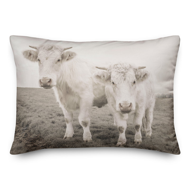 Coussin intérieur / extérieur, H 14 po x l 20 po, Rectangle