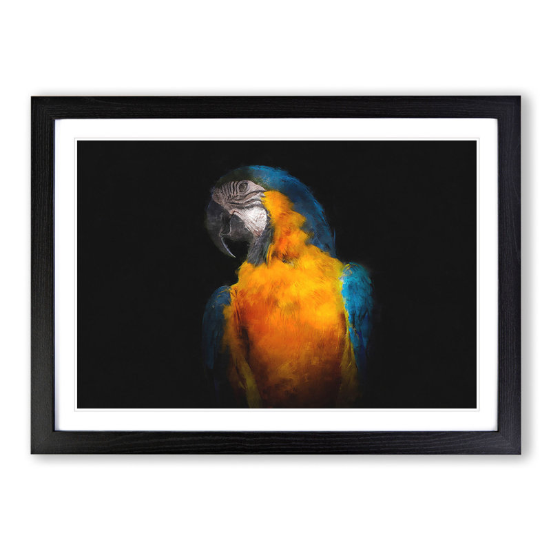 A Blue and Yellow Macaw Parrot - Picture Frame Graphic Art, 27cm H x 36cm W x 2cm D, Black Framed