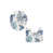 Bleu / tortue blanche