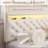 LED Diamond Tufted Bed Frame with 2 Drawers, Adjustable Storage Headboard and 2 Side Pockets-1490295170-1506297237