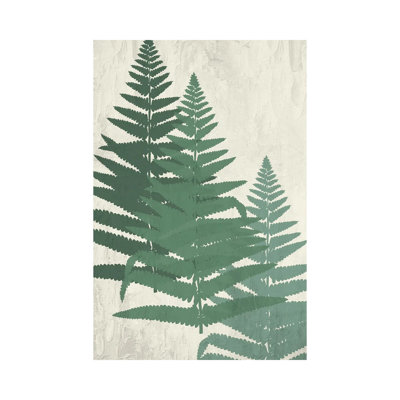 Fern II Greens 1 Piece Wrapped Canvas Painting