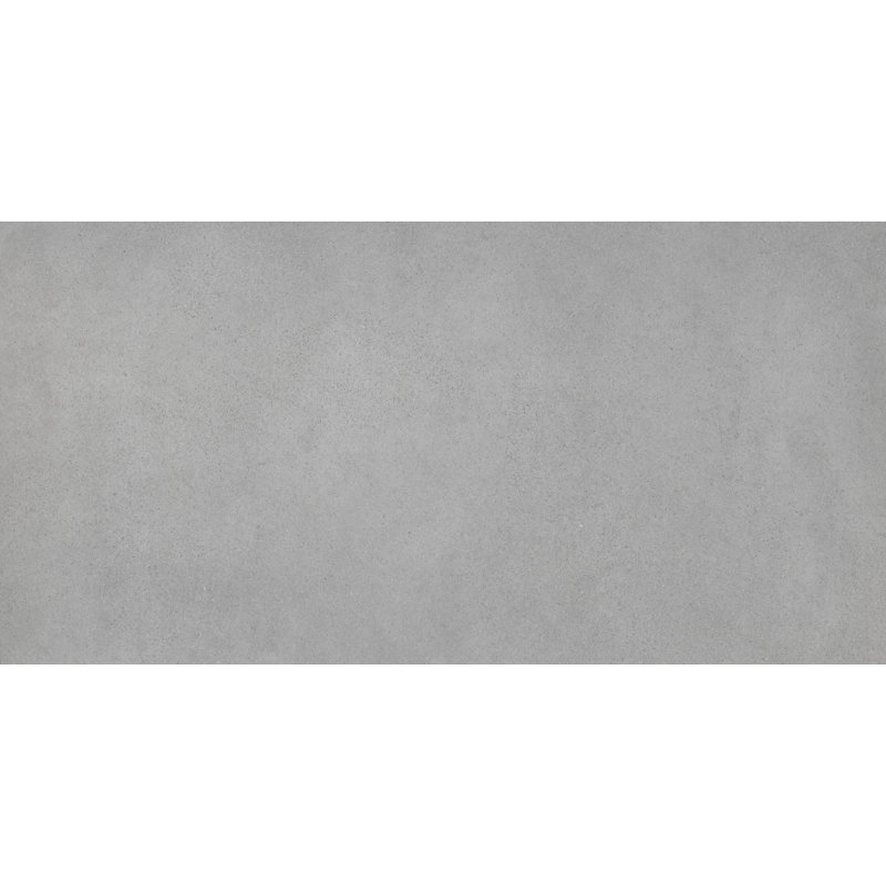 Bb Concrete Gray 12 in. x 24 in. Matte Porcelain Floor and Wall Tile (11.47 sq. ft./Case), Silver