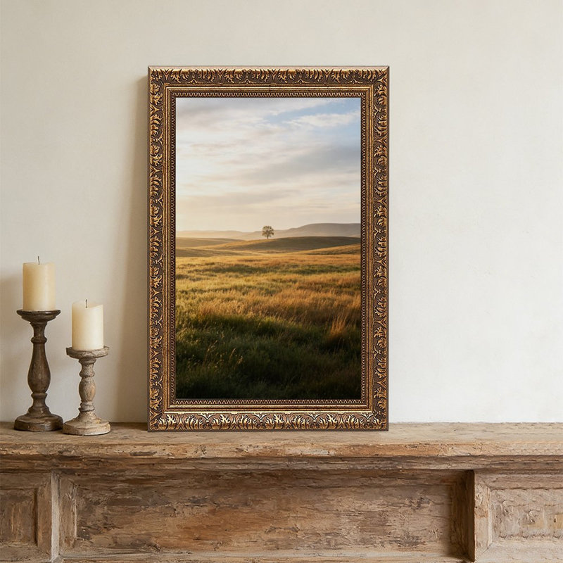 Cadre doré doré Golden GrasslandOrnate, L 20 po x l 30 po
