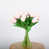 Rose clair est en rupture de stock