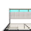 Rishi Upholstered Storage Bed with Drawers-1854995815-1854995819