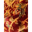 Fine hand Knotted Agra 8' X 11'8''