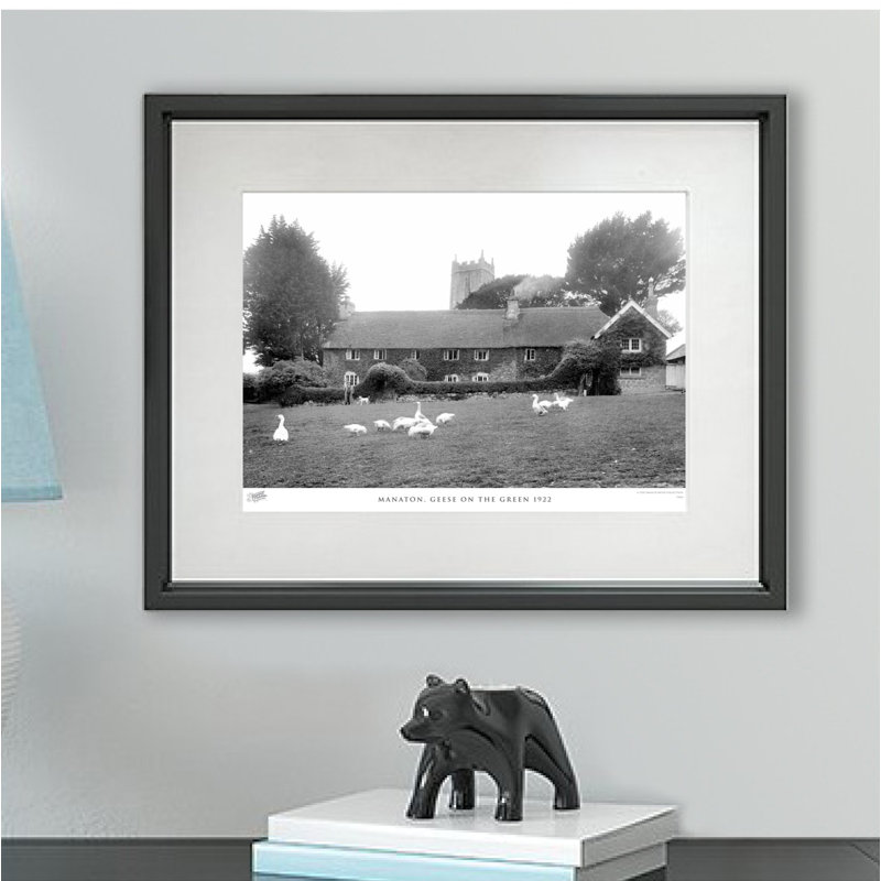 Manaton, Geese On The Green 1922 by Francis Frith - Single Picture Frame Print, 28cm H x 36cm W x 2.3cm D