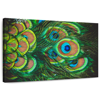 Crowle Shiny Peacock Feathers