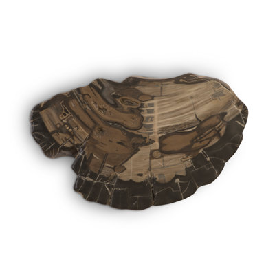 Décoration murale en bois pétrifié Cast Naturals