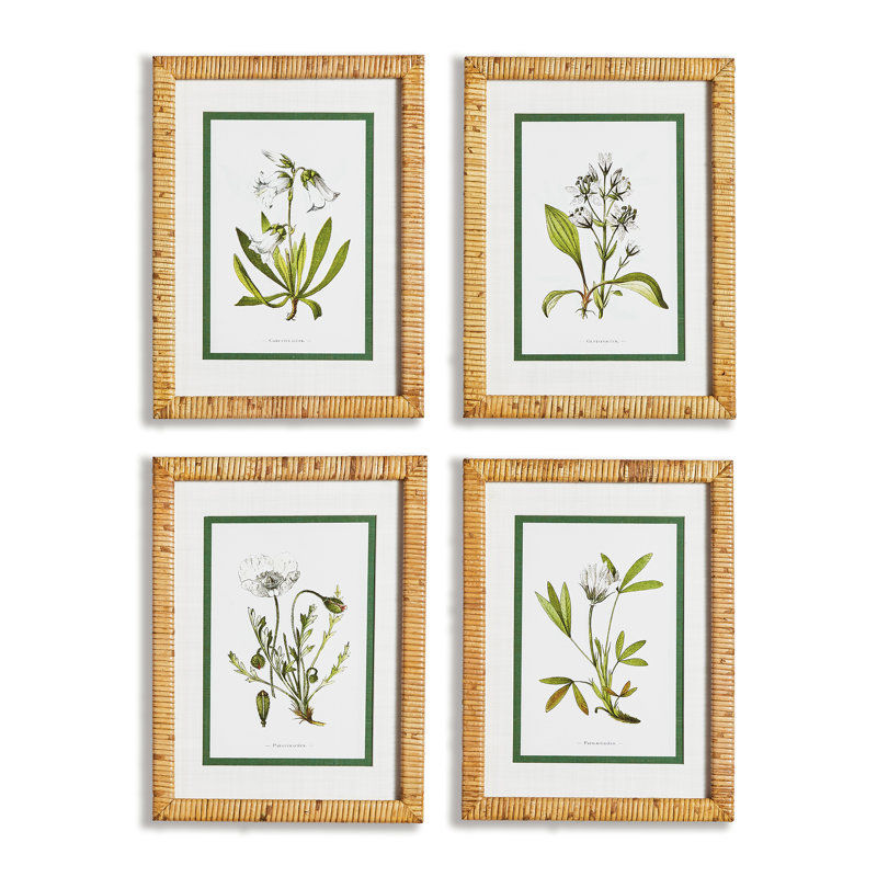 Andel " White Floral Study " 4 - Pieces