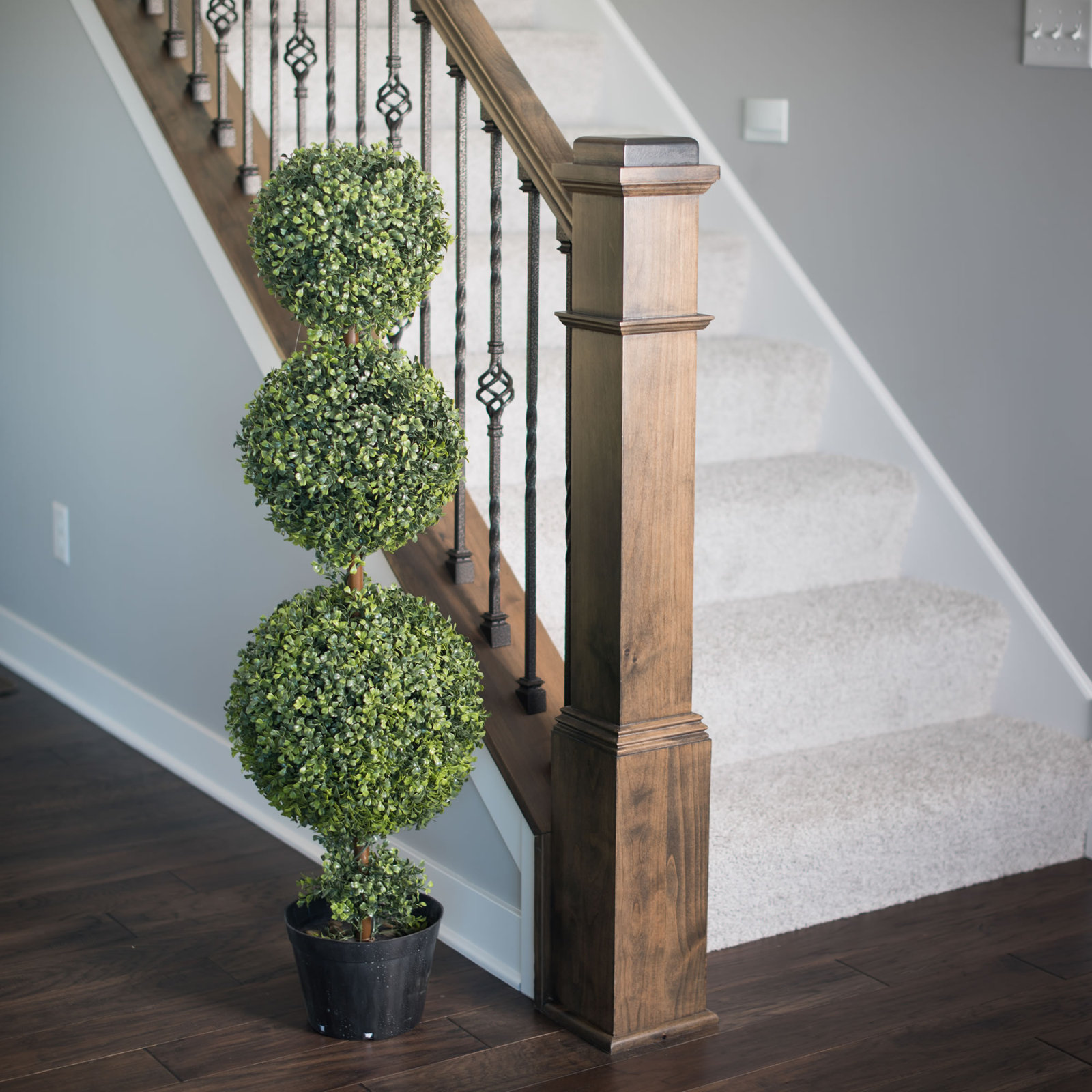 Boxwood Topiary in Pot, 60" H x 13" W x 13" D