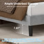 Lit plateforme rembourré en velours amélioré avec tête de lit réglable, conception renforcée et silencieuse, aucun sommier tapissier requis, support de lattes en bois robuste, assemblage facile-612254658-618794013