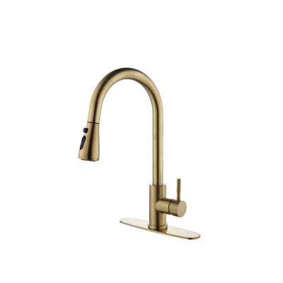 Robinet de cuisine en acier inoxydable brossé avec douchette extractible, buse rotative à 360 °, corrosion et caractéristiques de rouille