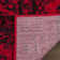 Olius Performance Oriental Rug